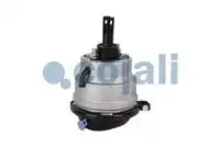 энергоаккумулятор! Omn Iveco 2851407 COJALI