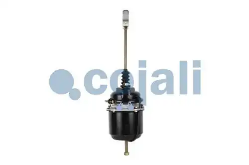 энергоаккумулятор !NG3 20/24 2251400 COJALI