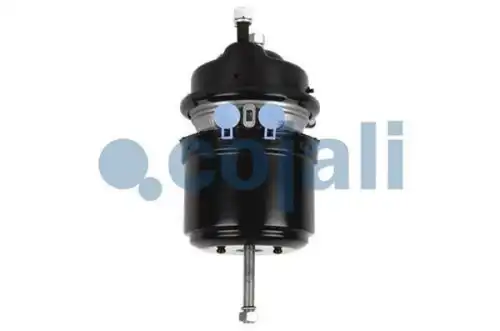 энергоаккумулятор !T24/24 дисков. тормоз Volvo/RVI 2251513 COJALI