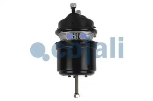 энергоаккумулятор! Tип24/24 дисков. тормозAll 2251514 COJALI