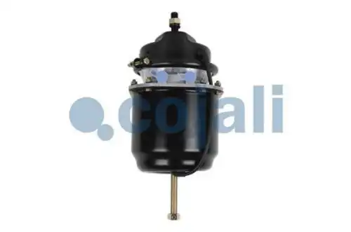 энергоаккумулятор! универсальный для дисковых тормозов Тип24/30 All 2251515 COJALI