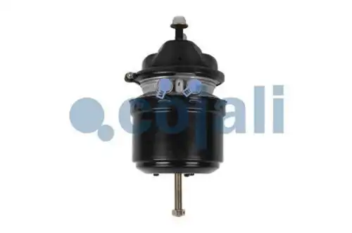 энергоаккумулятор! левый/правый для дисковых тормозов Тип24/30 Scania 2251536 COJALI