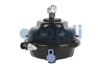 камера тормозная! передняя дисковый тормоз RVI Premium/Midlum 2351301 COJALI