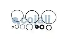 р/к ускорительного клапана !(мпр)MB,MAN,DAF,IVECO,VOLVO,Scania 6012033 COJALI