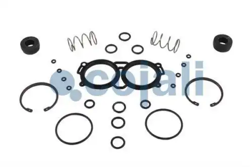 р/к модулятора EBS K020023N50 !(пружины,манжеты резин,упл.кольца,стопорные кольца)VOLVO,RVI 6014113 COJALI