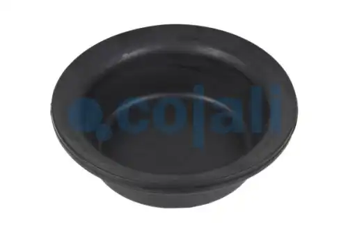 мембрана !глубокая 20 h=45 D=168 MB, Scania, RVI, DAF 6001113 COJALI