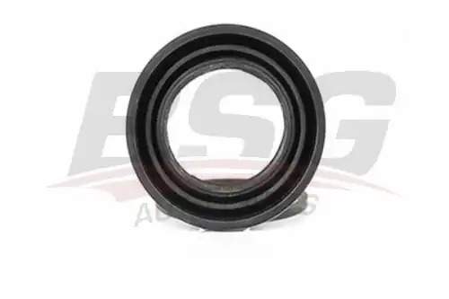 рем.к-т диск.торм.! Ford Fiesta/Focus/Mondeo/Escort 86>/S-max 07> BSG 30-251-014 BSG