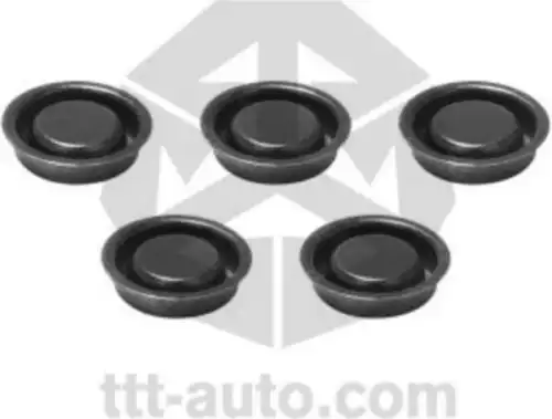 р/к диcкового тормоза! 5(п) к-т заглушек BPW TSB 3709/4309/4312 19057 TTT