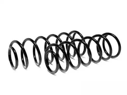 Пружина задняя Hundai Getz шт 54824 FOBOS