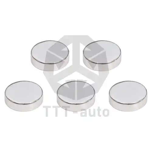 р/к дискового тормоза! 5(м) заглушки Knorr SN 6/7 14539 TTT