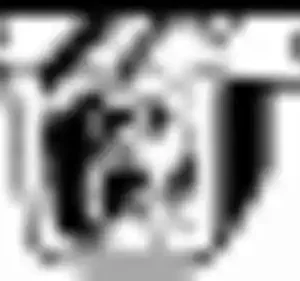 крепление глушителя! BMW E46 1.6-2.8 M43/M52 98> 255-077 BOSAL