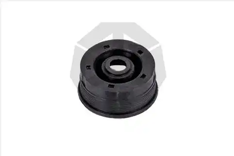 р/к диcкового тормоза! (р) заглушка (чёрн.) WabcoPAN17/19/19-1plus/22-1, MAXX 22T 14777 TTT