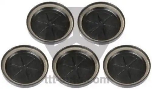 р/к диcков. тормоза! 5(мр) к-т заглушек D42 KnorrSN6/SN7/SK7 17141 TTT