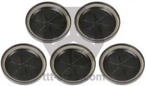 р/к диcков. тормоза! 5(мр) к-т заглушек D45 KnorrSN6/SN7/SK7 17142 TTT