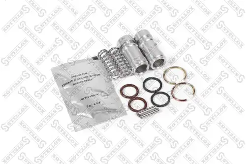 р/к компрес.!(мр)клапан кругл 2.пружина-2.кольца LP4825.4930/64/74 (13 пр.)Volvo ,Scan 85-27850-SX STELLOX