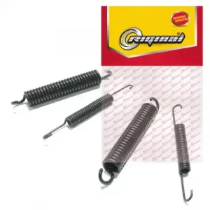 Пружины барабанных тормозных колодок RIGINAL RG2108-3501000