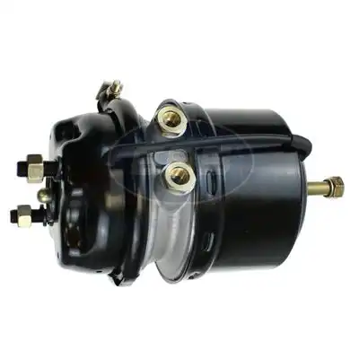 энергоаккумулятор! (9254810510) T24/24 Volvo, RVI 02.06.2424.051 EBS