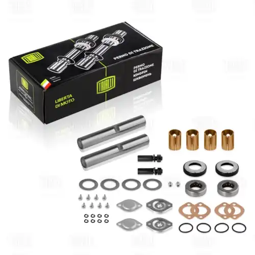 р/к шкворня!полный, аналог 3307-3000100ГАЗ-53,3307,3308,3309 SH 0353 TRIALLI