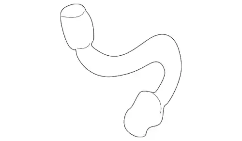 трубка тормозная передн. прав.! Mitsubishi MR289681