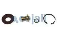 р/к осушителя !(мпр)поршень.клапан.кольца для 4324250010VOLVO FH/FM 6012289 COJALI