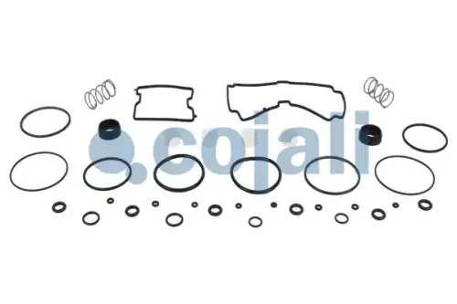 р/к модулятора EBS 0486204017N50!(манжеты,упл.кольца,прокл.,пружины)MAN TGA/S/X,Omn Lion s 6014038 COJALI