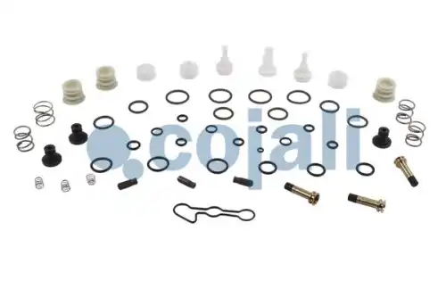 р/к блока клапанов ELC K019820N50 !(клапаны(м),клапаны (пл),пружины,прокл.,кольца упл.) 6014172 COJALI