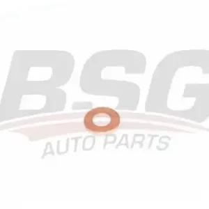 Кольцо уплотнительное форсунки BSG BSG 30-995-049