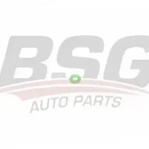 Кольцо уплотнительное форсунки BSG BSG 30-995-050