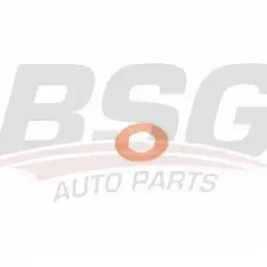 Кольцо уплотнительное форсунки BSG BSG 30-995-048