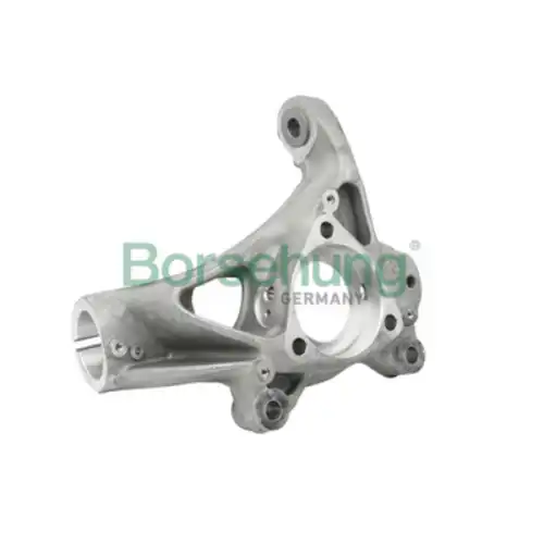 Кулак поворотный BORSEHUNG B18510