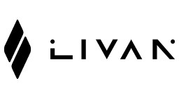 4082062800 ШРУС внутр лев LIVAN