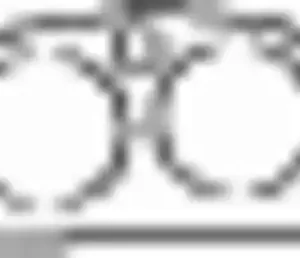 Прокладка глушителя BOSAL 256-166