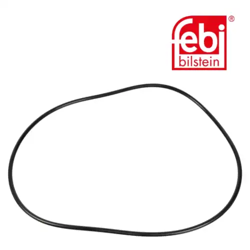 уплот. кольцо !255x5 планетар. передачи задн. моста MB 08008 FEBI