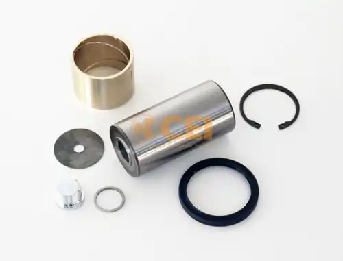 р/к шкворня! (мп) без подш 55x109 MB Actros MP2/MP3 02> 230.147 CEI