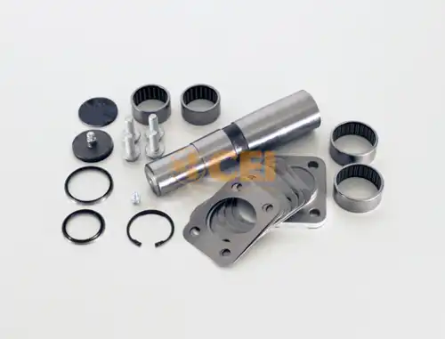 р/к шкворней !(мр) на сторону с подш 43x57.7x227Iveco EUROCARGO/TECH/STAR/TRAKKER 230.020 CEI