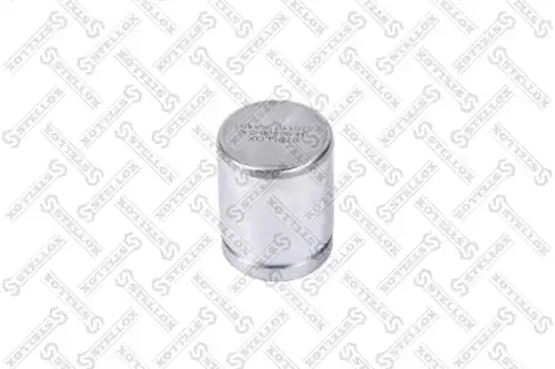 поршень суппорта! d45 Bosch MB Sprinter 04-98366-SX STELLOX