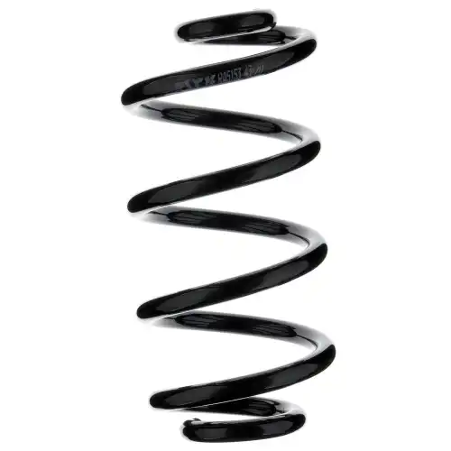 пружина задняя! Nissan Qashqai/Qashqai+ 2 J10 06> RA5153 KYB