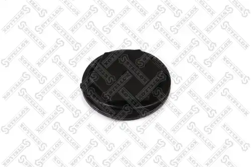 крышка шкворня ! Volvo FH12 00-08 89-04627-SX STELLOX