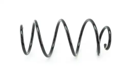 Пружина подвески передней AW6R004110105AD DOMINANT