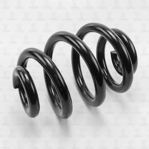 пружина задняя! VW T5 2.0-2.5TDi 03> DF0110 TORR