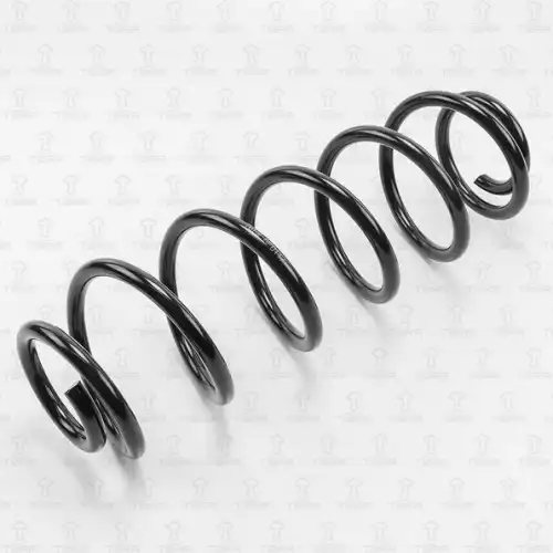 пружина подвески задн.! VW Golf IV 97> DF0117 TORR