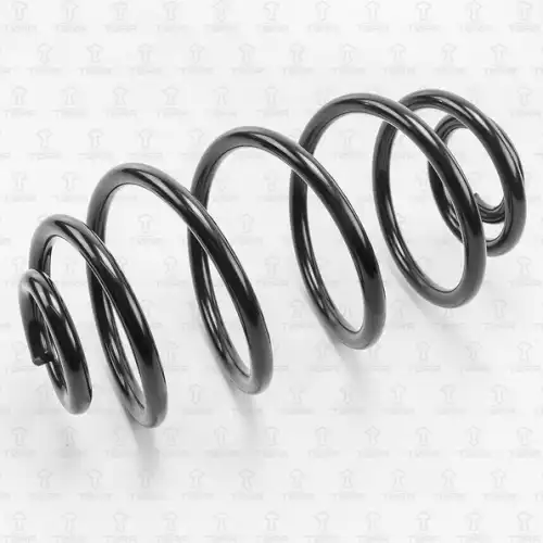 пружина задняя! Opel Astra H 04> DF0118 TORR