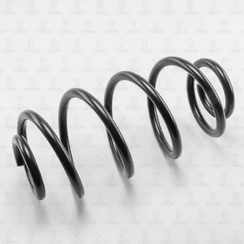 пружина задняя! Chevrolet Aveo 4-doors 03/11> DF0137 TORR