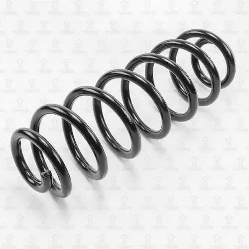 пружина задняя! VW Passat/Tiguan 05> DF0152 TORR