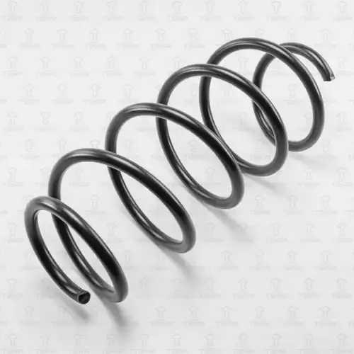 пружина передняя! Ford Fusion 02> DF0104 TORR
