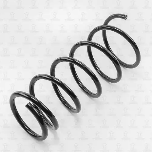 пружина передняя! Suzuki SX4 06> DF0134 TORR