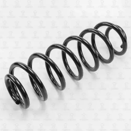 пружина задняя! VW Passat/Tiguan 05> DF0131 TORR