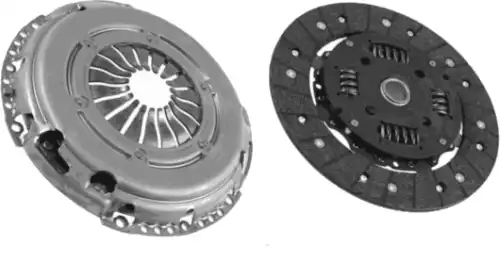 Комплект сцепления E.SASSONE Y310