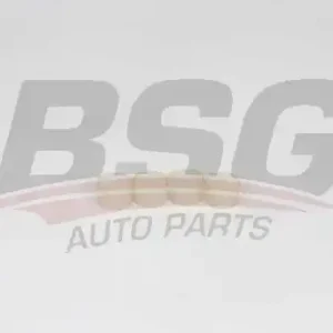 Шайба форсунки BSG BSG 30-116-152