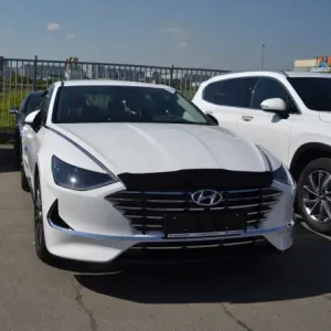 NLD.SHYSON1912 Дефлектор капота Hyundai Sonata, 19-, темный, NLD.SHYSON1912 SIM